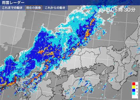 雷電雨|雷レーダー(予報)